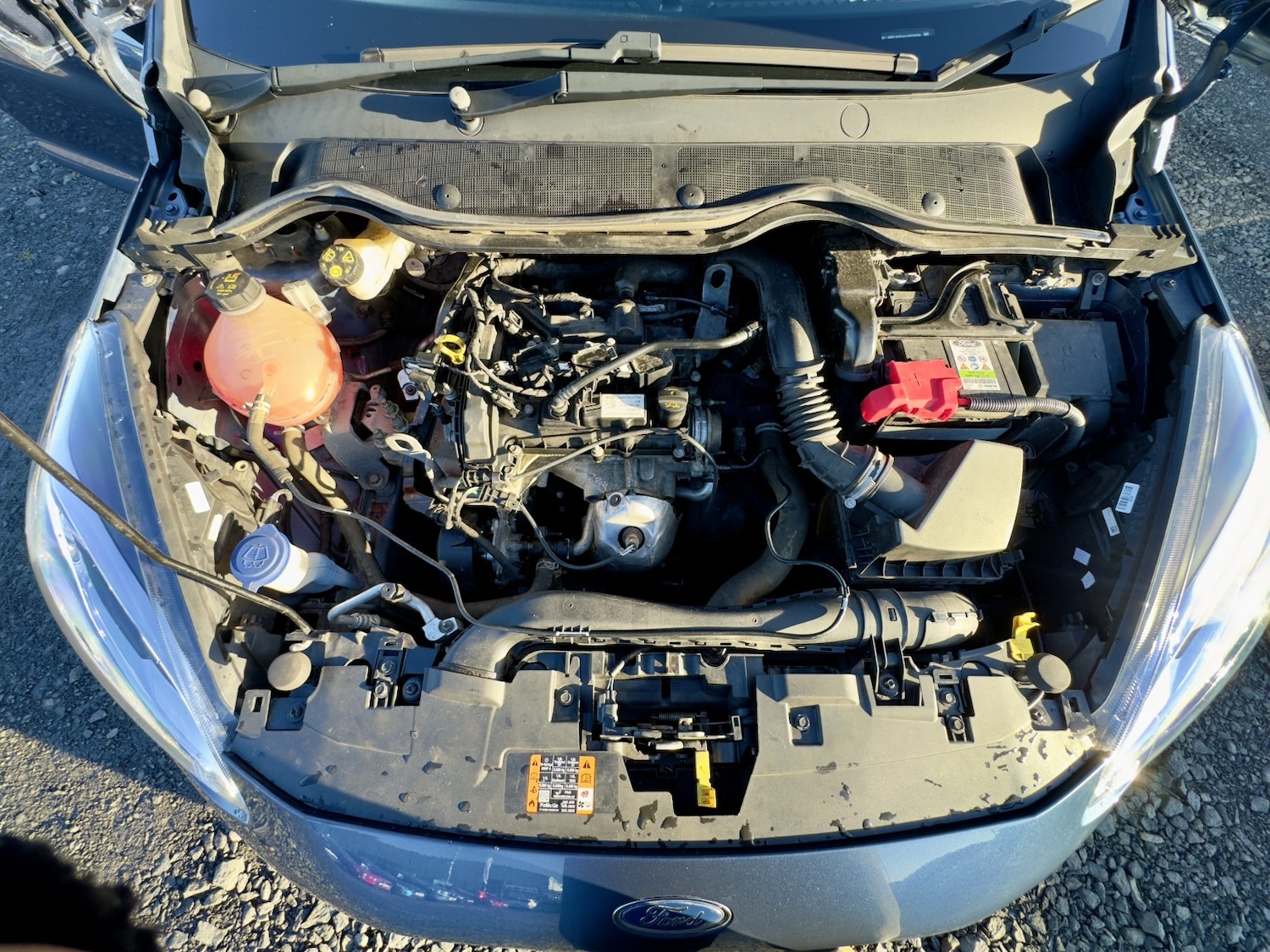 Used Ford Fiesta 2019 for sale - 76699264: Photo 24