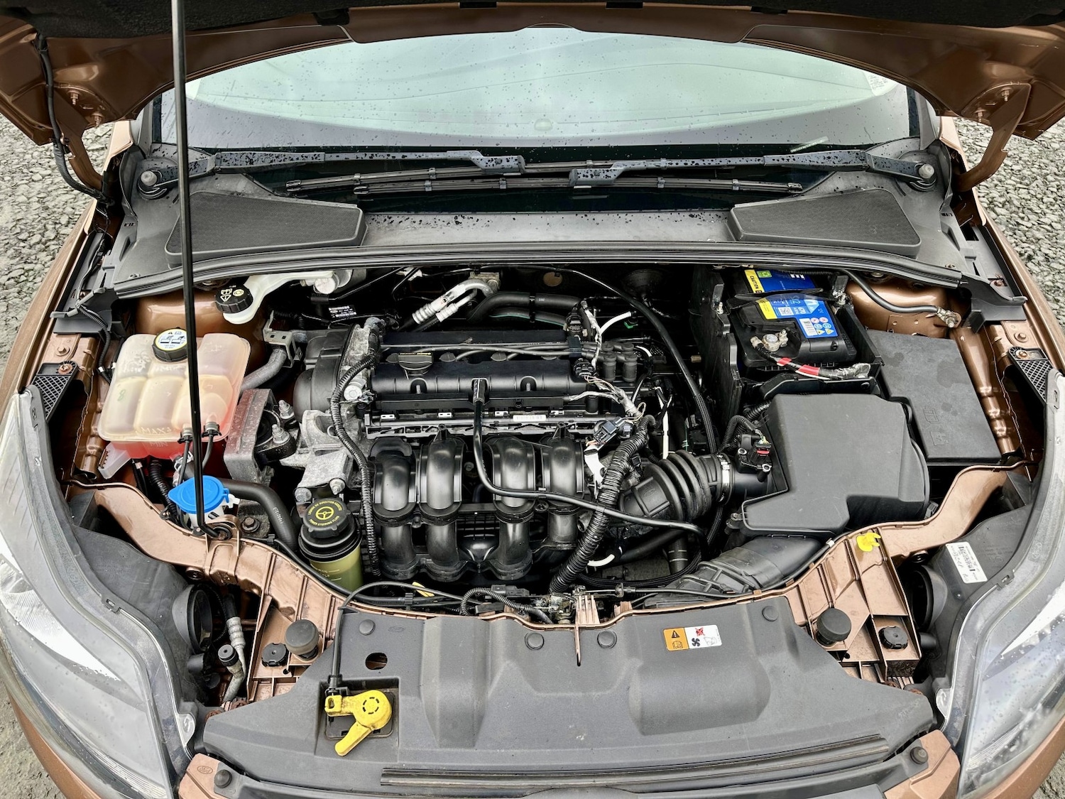 Used Ford Focus 2013 for sale - 77707339: Photo 24