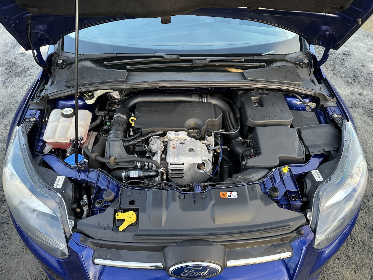 Used Ford Focus 2014 for sale - 77241906: Photo 23