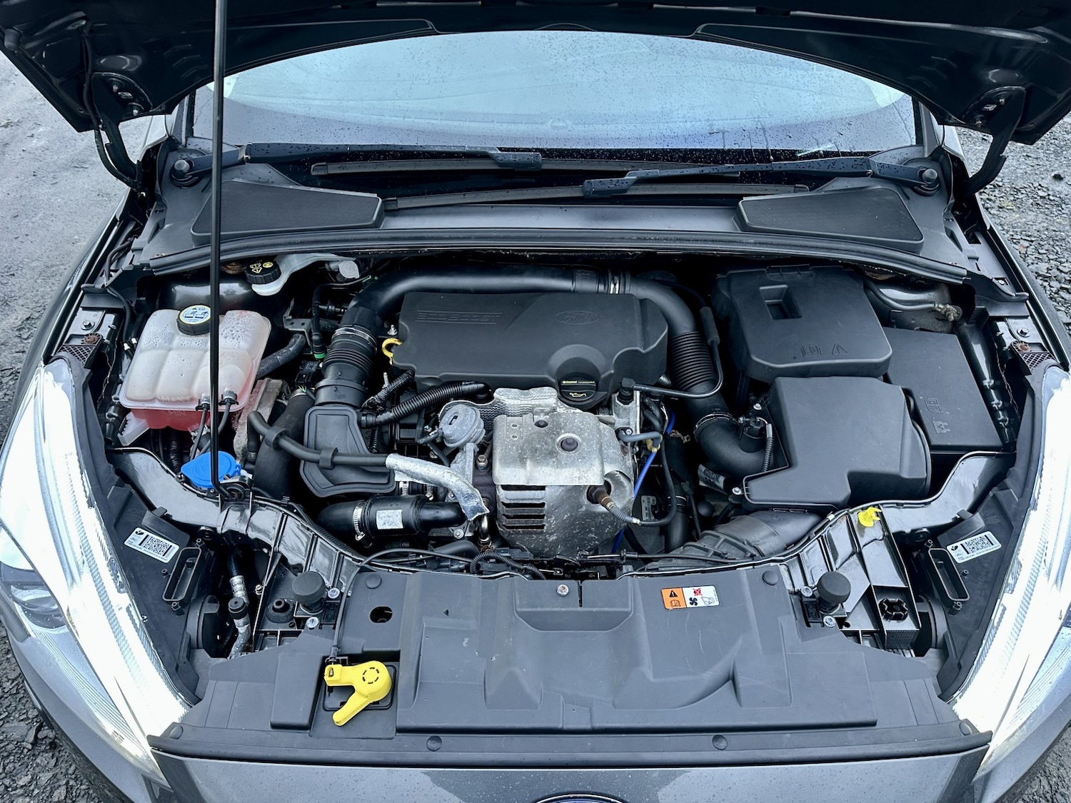 Used Ford Focus 2015 for sale - 76891759: Photo 25