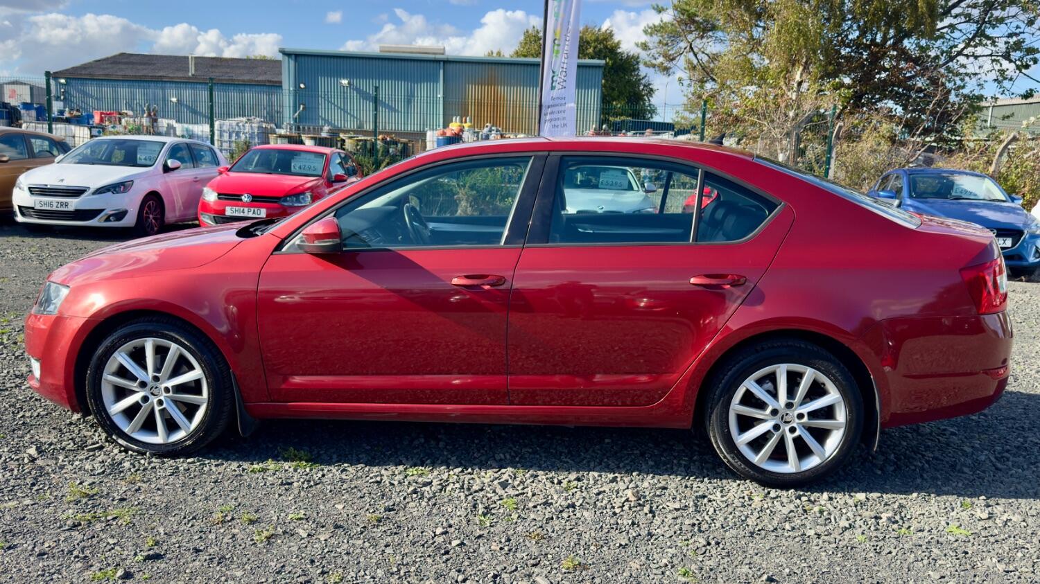 Used Skoda Octavia 2013 for sale - 77668669: Photo 11