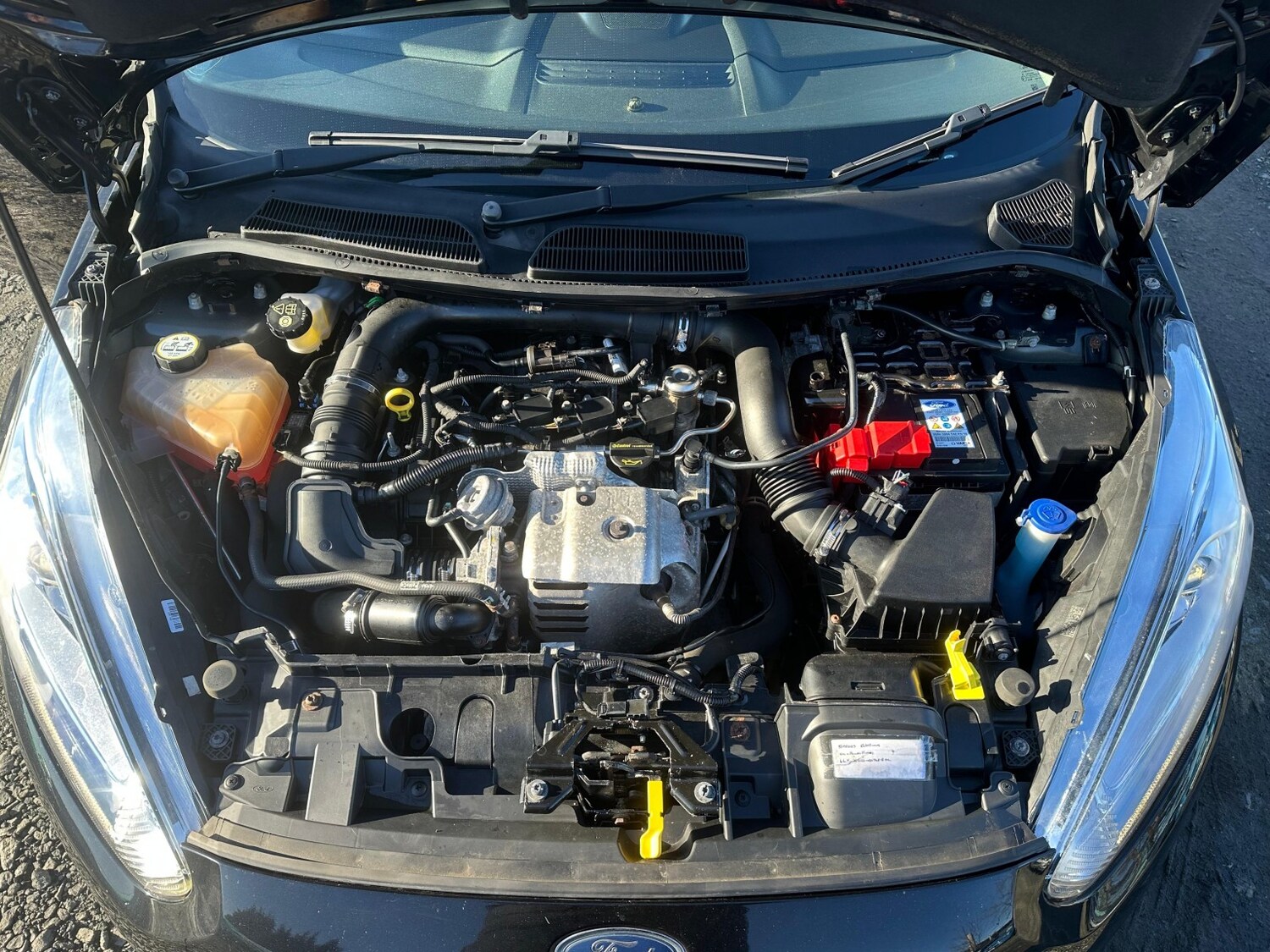 Used Ford Fiesta 2014 for sale - 77567486: Photo 24