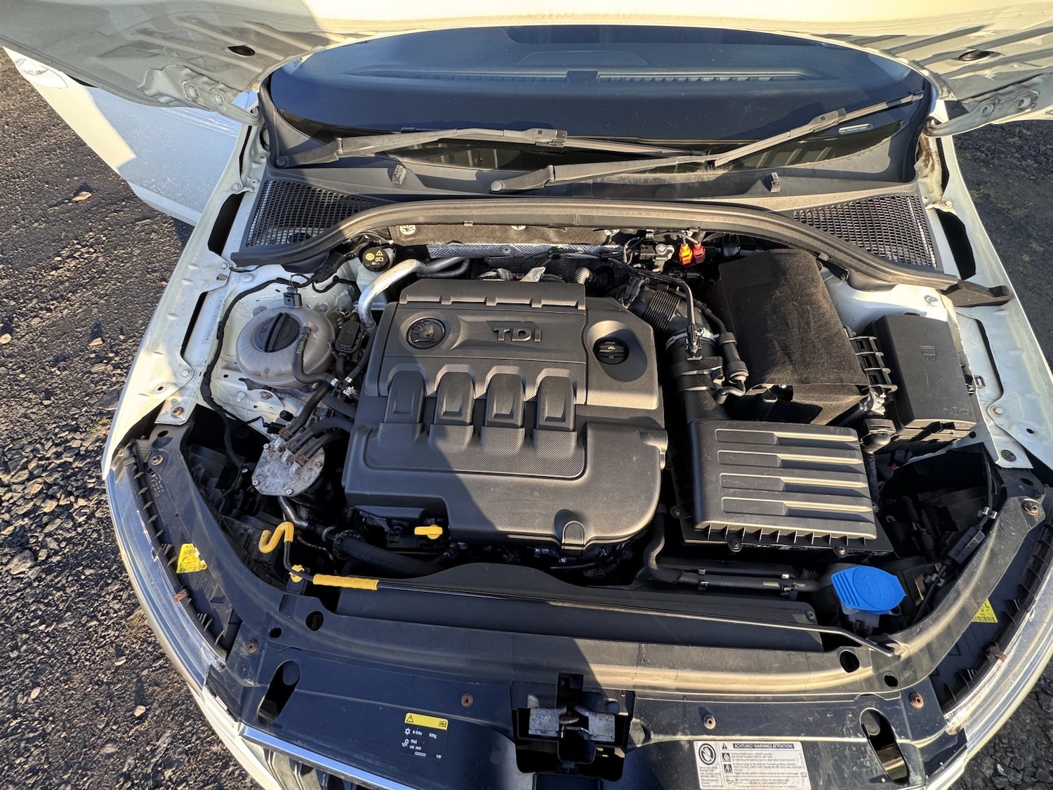 Used Skoda Octavia 2014 for sale - 76968576: Photo 31