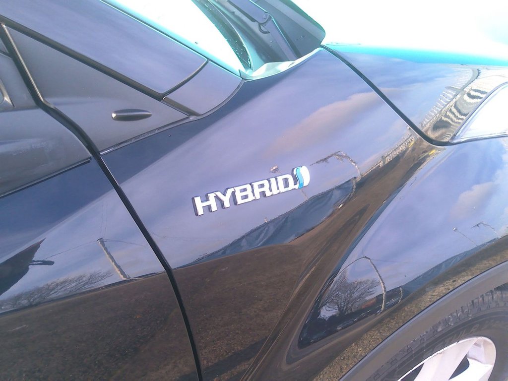 Used Toyota C-HR 2019 for sale - 76900972: Photo 9