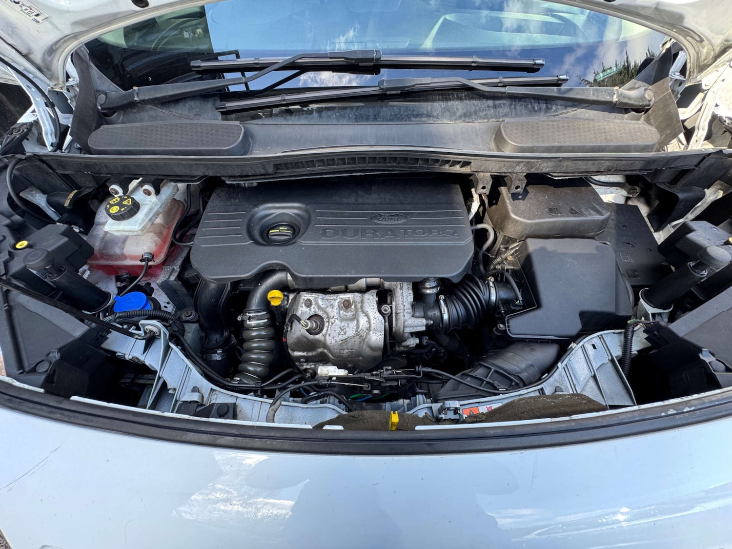 Used Ford Transit Connect 2017 for sale - 78108337: Photo 49