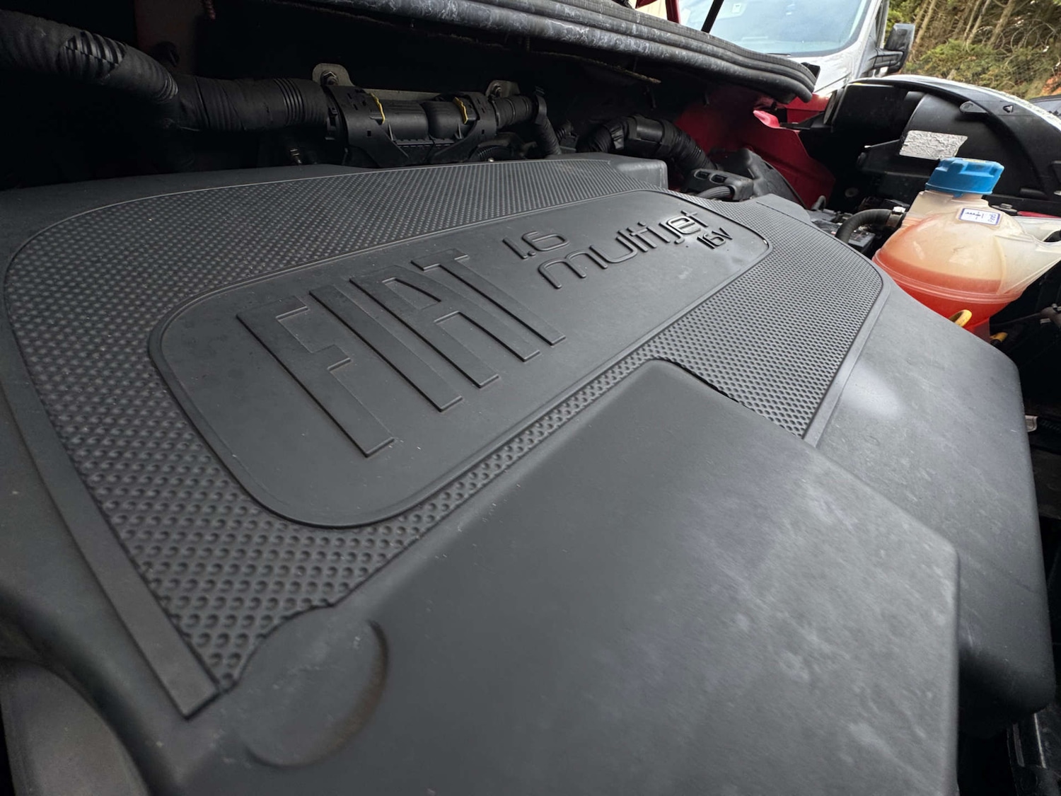 Used Fiat 500L 2013 for sale - 77434644: Photo 51