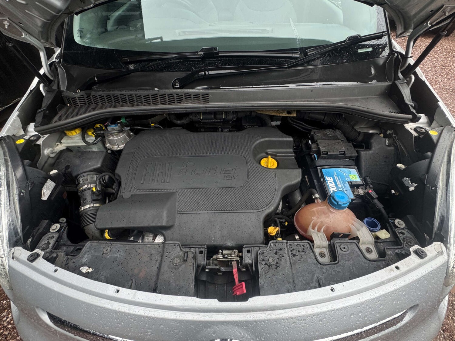 Used Fiat 500L 2013 for sale - 77502058: Photo 37