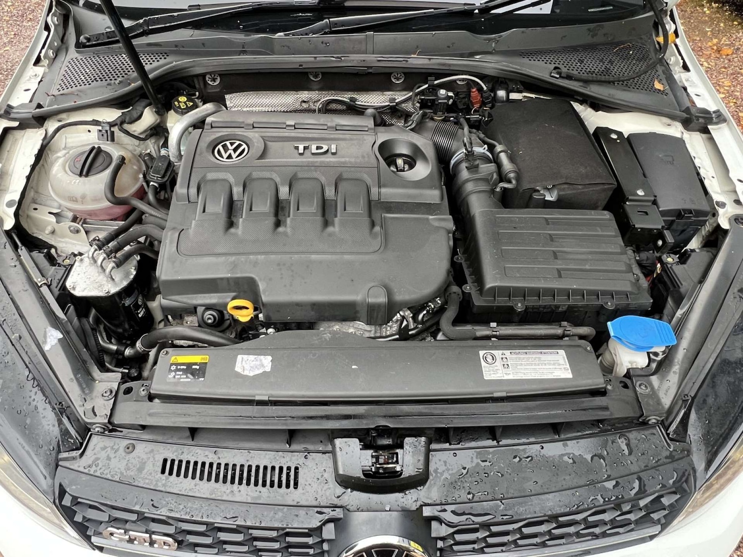 Used Volkswagen Golf 2015 for sale - 77138698: Photo 25