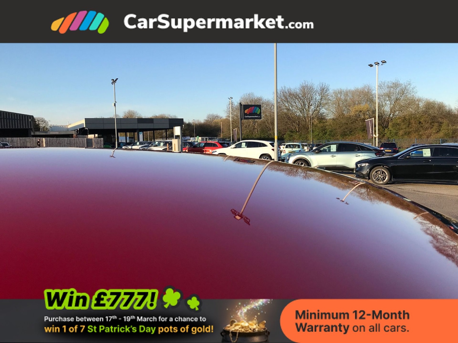 Used Volkswagen Polo 2019 for sale - 77943741: Photo 8