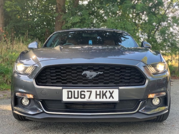 Used Ford Mustang 2017 for sale - 75585176: Photo 11