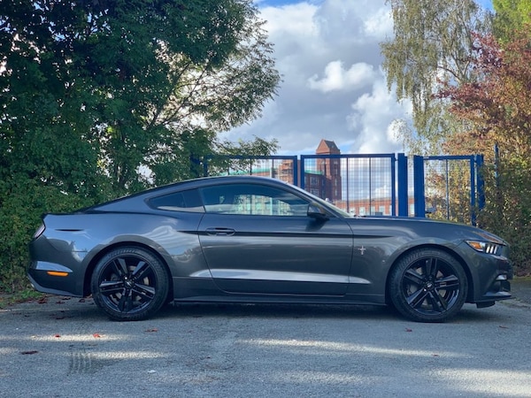 Used Ford Mustang 2017 for sale - 75585176: Photo 12