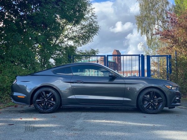 Used Ford Mustang 2017 for sale - 75585176: Photo 34
