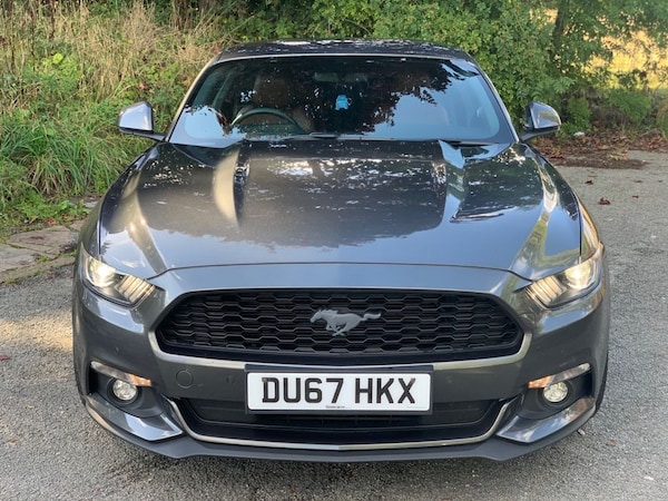 Used Ford Mustang 2017 for sale - 75585176: Photo 4