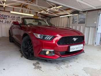 Used Ford Mustang 2016 for sale - 74517244: Photo