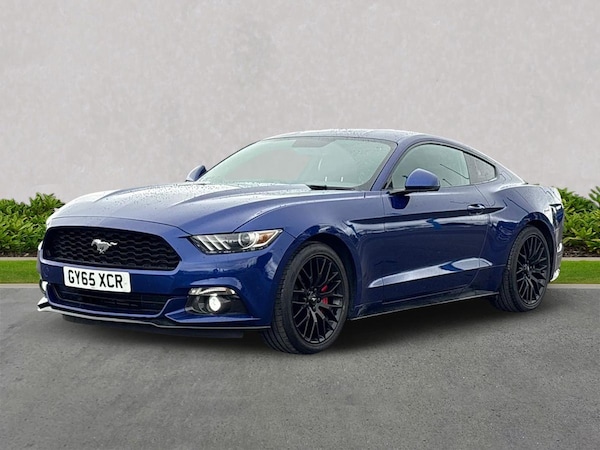 Used Ford Mustang 2016 for sale - 76198488: Photo 18