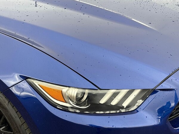 Used Ford Mustang 2016 for sale - 76198488: Photo 32