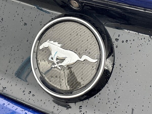 Used Ford Mustang 2016 for sale - 76198488: Photo 33