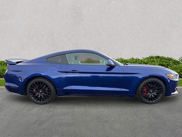 Used Ford Mustang 2016 for sale - 76198488: Photo 3