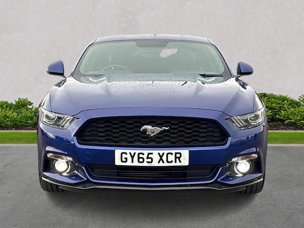 Used Ford Mustang 2016 for sale - 76198488: Photo 5