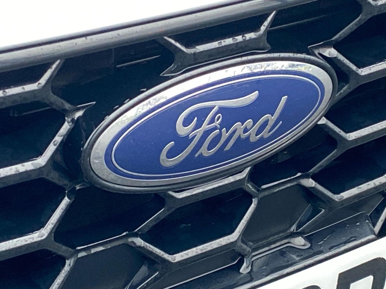 Used Ford Focus 2023 for sale - 77789585: Photo 32