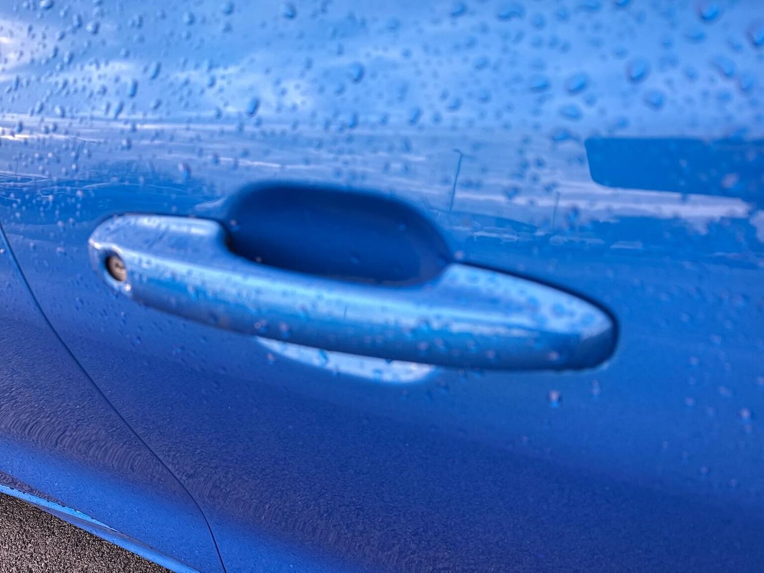 Used Ford Focus 2024 for sale - 77542475: Photo 37