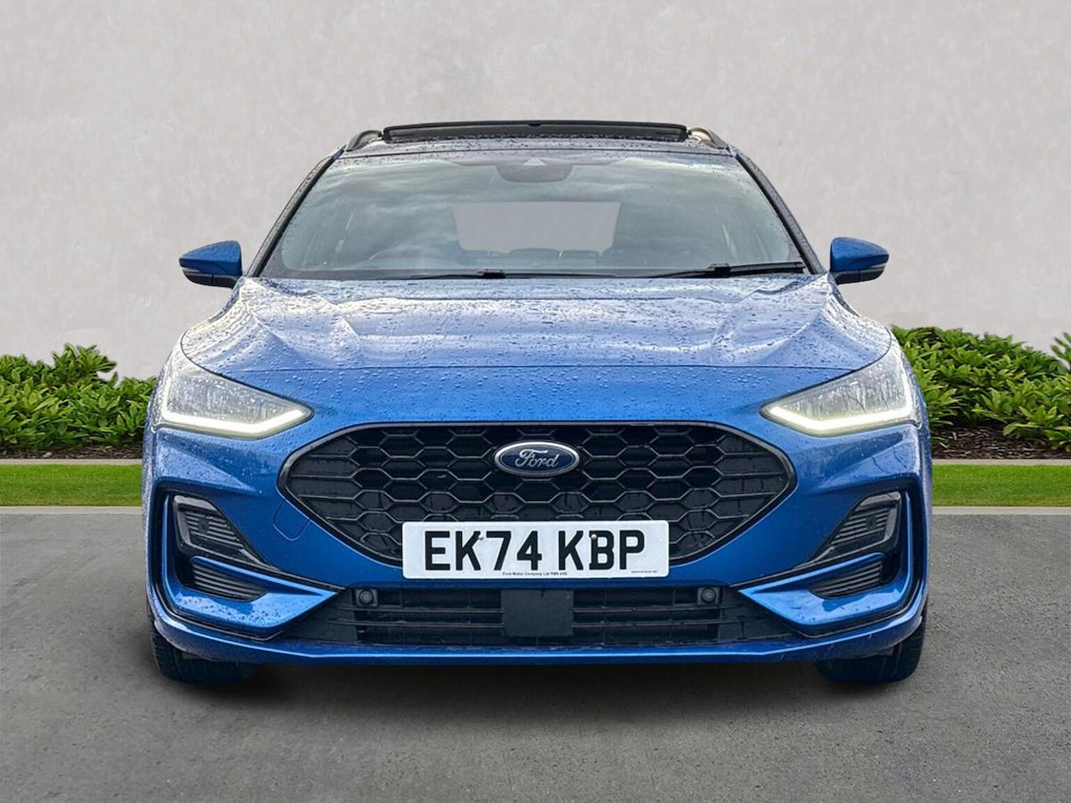 Used Ford Focus 2024 for sale - 77542475: Photo 5