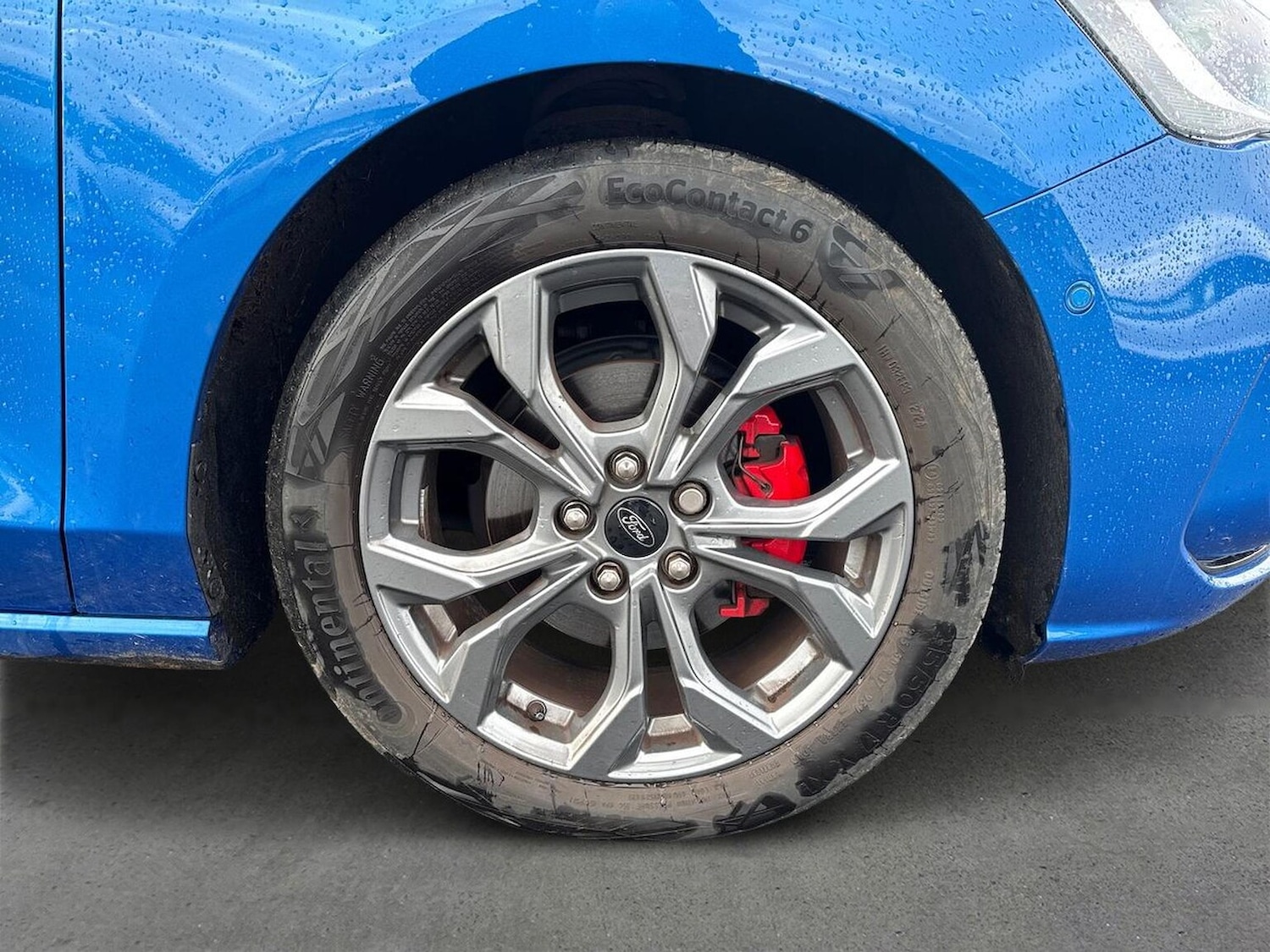 Used Ford Focus 2024 for sale - 77542475: Photo 6