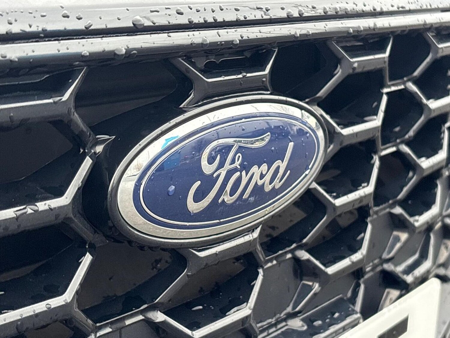 Used Ford Focus 2024 for sale - 77489031: Photo 33