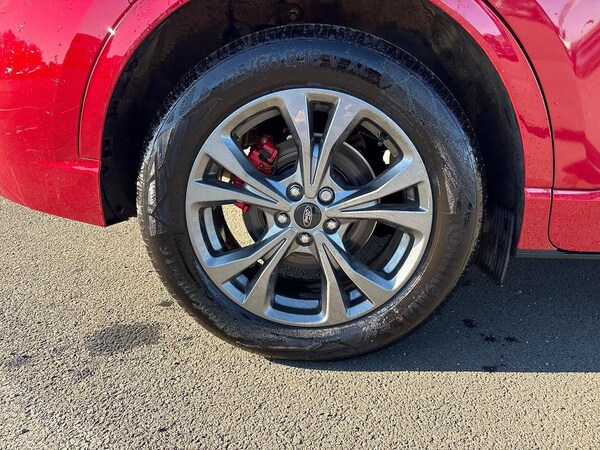 Used Ford Kuga 2023 for sale - 75505551: Photo 6
