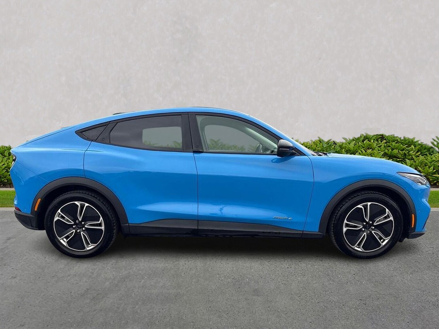 Used Ford Mustang Mach-E 2024 for sale - 76181423: Photo 3