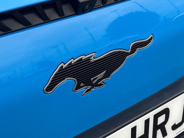 Used Ford Mustang Mach-E 2024 for sale - 76181423: Photo 33