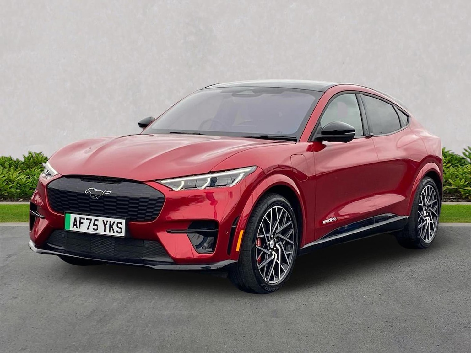 Used Ford Mustang Mach-E 2025 for sale - 78194672: Photo 22