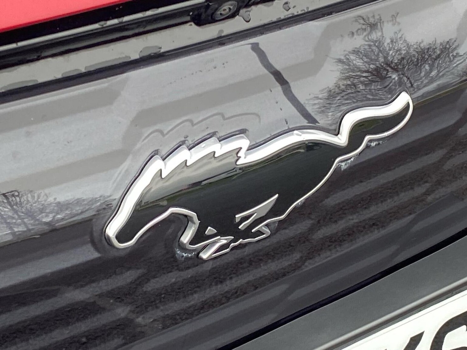 Used Ford Mustang Mach-E 2025 for sale - 78194672: Photo 35