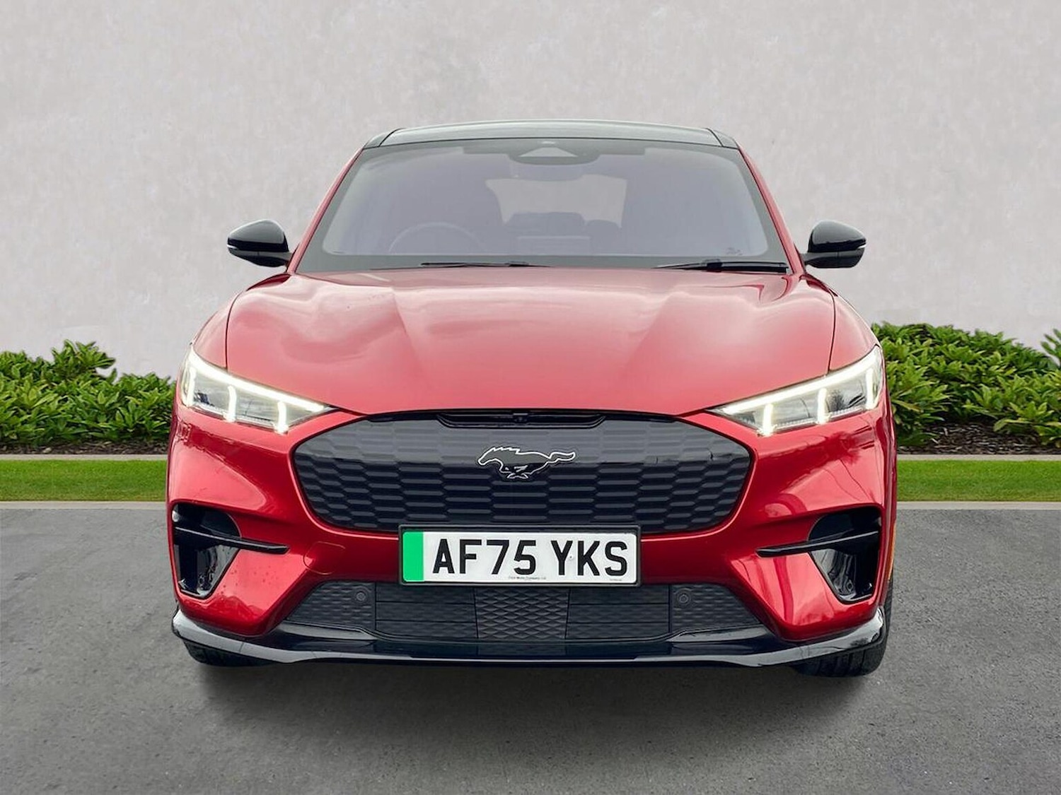 Used Ford Mustang Mach-E 2025 for sale - 78194672: Photo 7