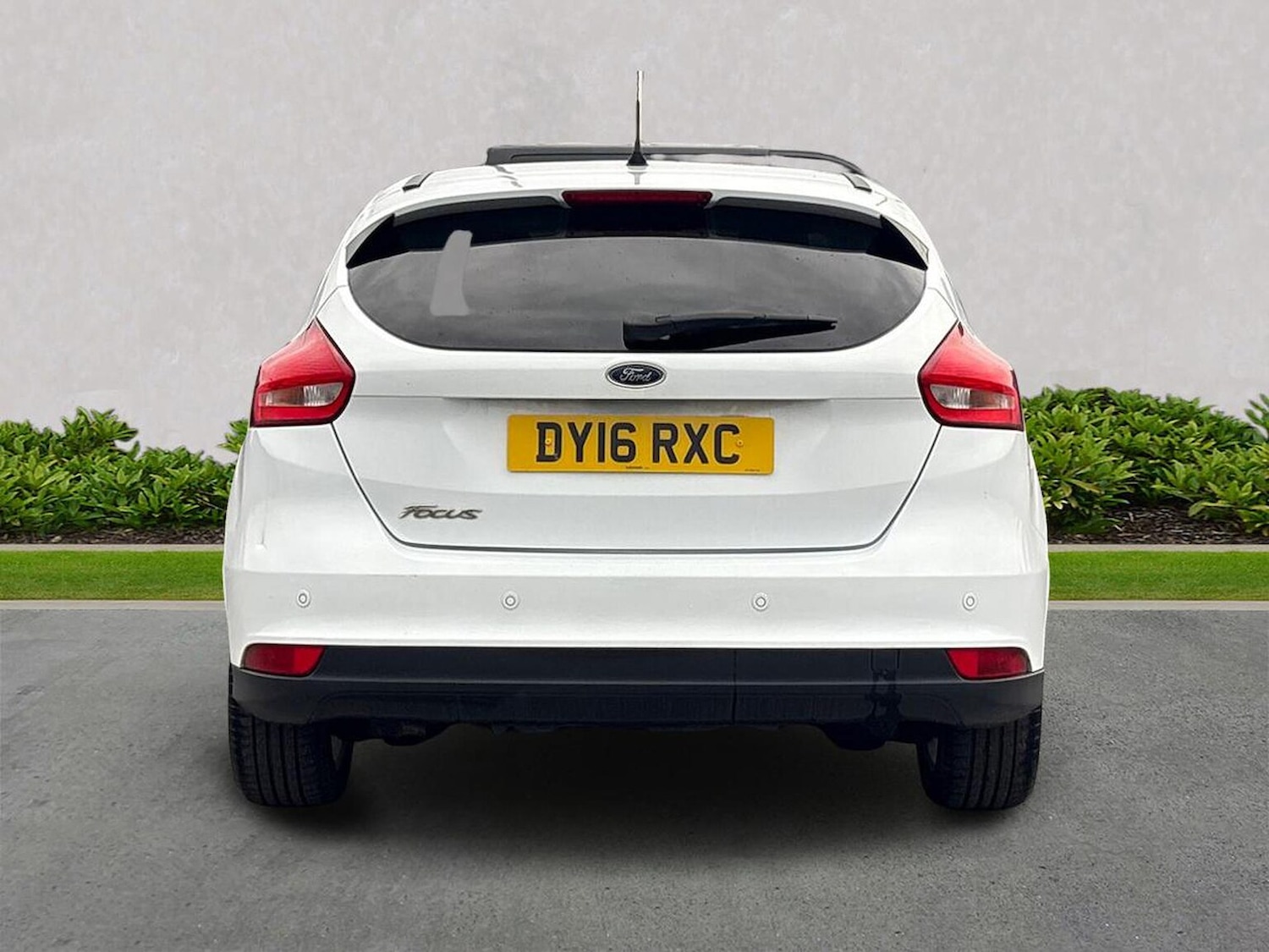 Used Ford Focus 2016 for sale - 76504988: Photo 4