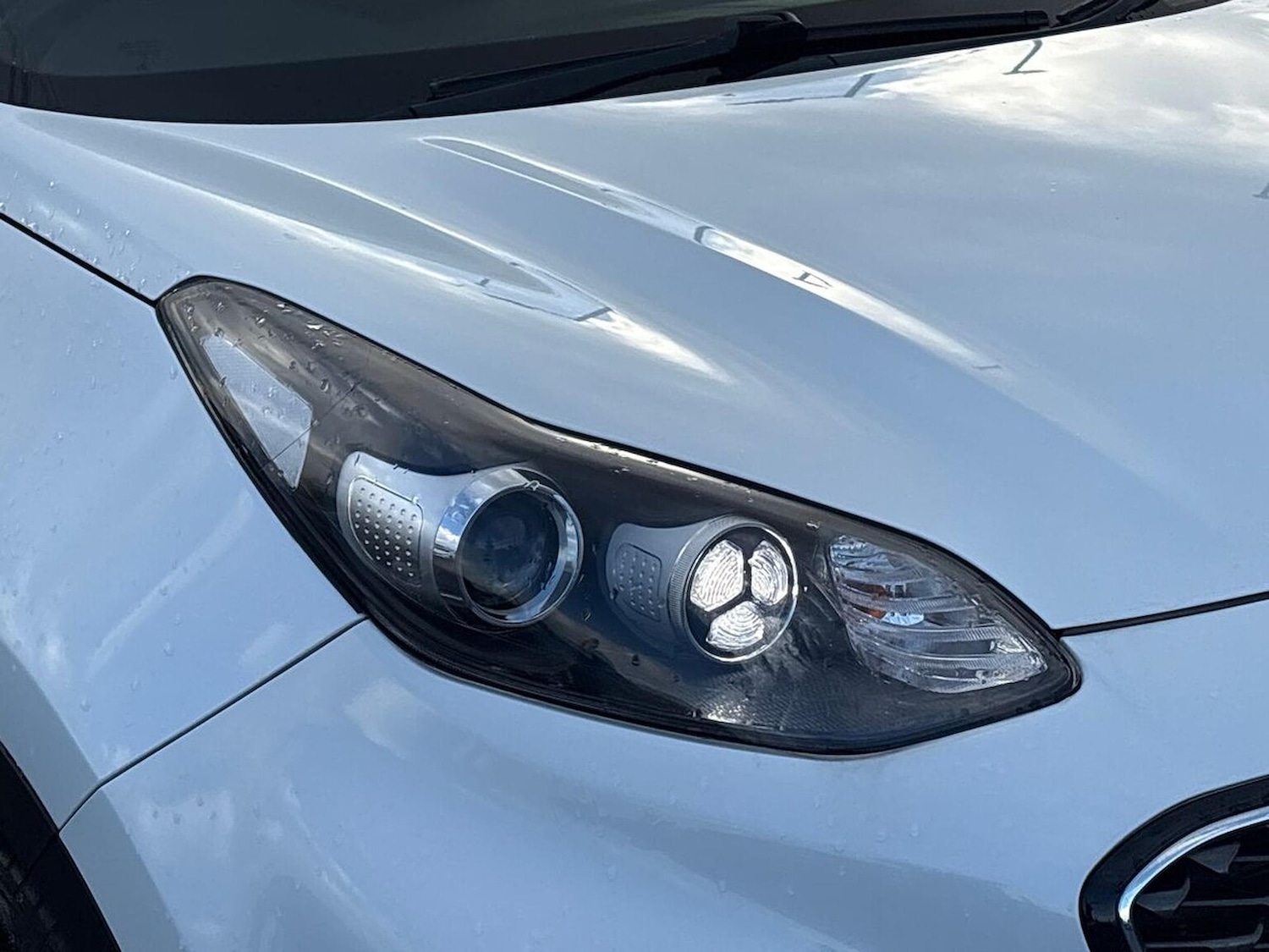 Used Kia Sportage 2020 for sale - 76600131: Photo 33