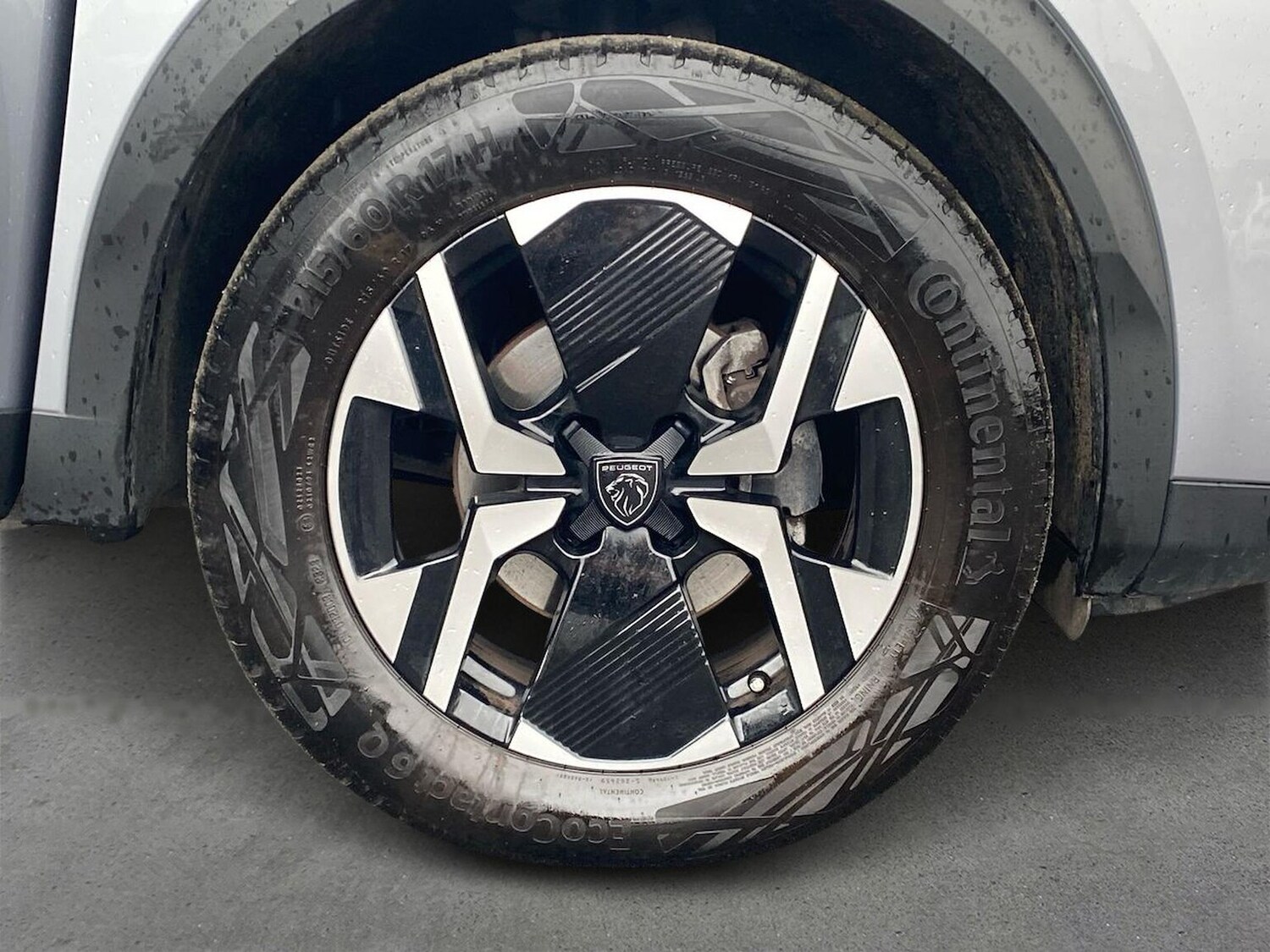 Used Peugeot 2008 2023 for sale - 77603686: Photo 6