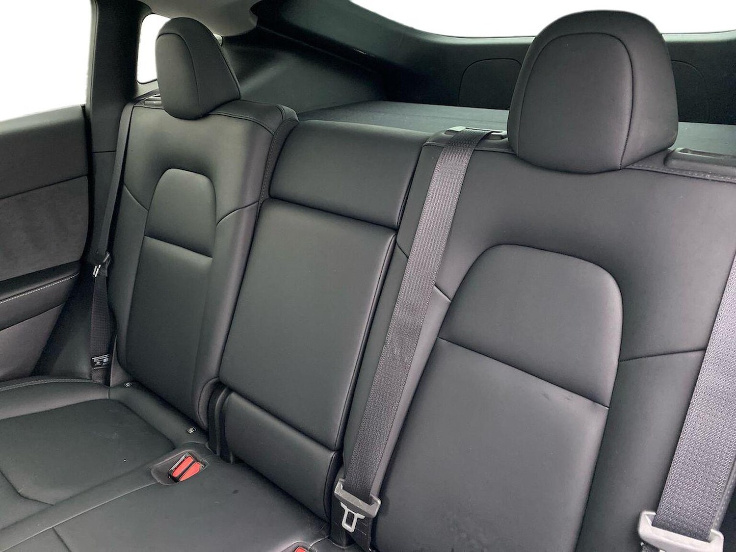 Used Tesla Model Y 2023 for sale - 77701371: Photo 16