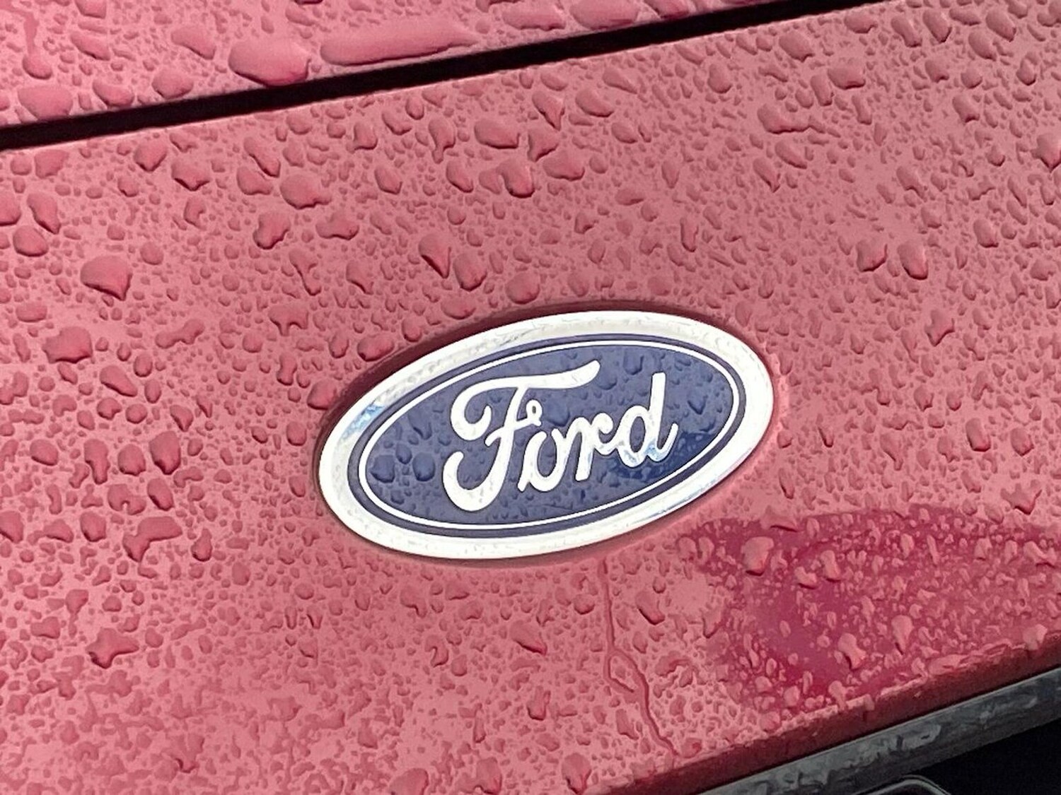 Used Ford Puma 2023 for sale - 77888605: Photo 32