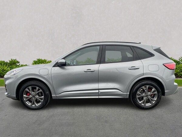 Used Ford Kuga 2024 for sale - 75505391: Photo 19