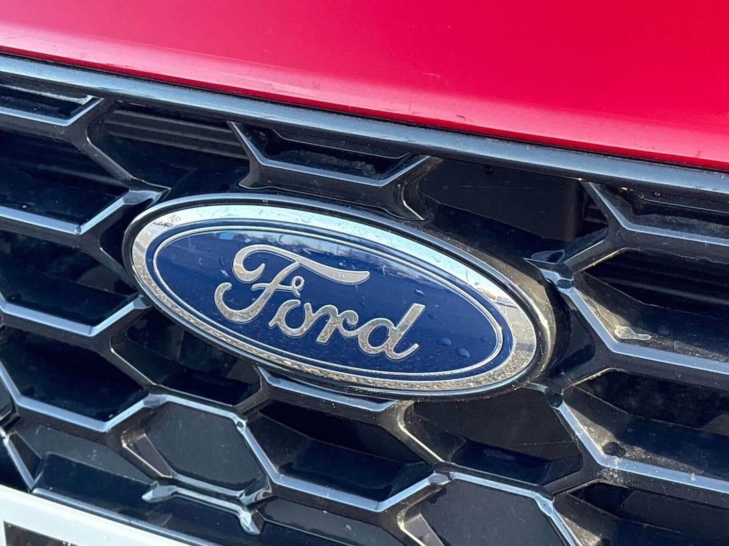 Used Ford Focus 2024 for sale - 76893289: Photo 33