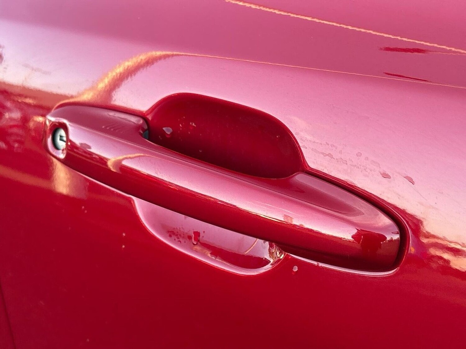 Used Ford Focus 2024 for sale - 76893289: Photo 37