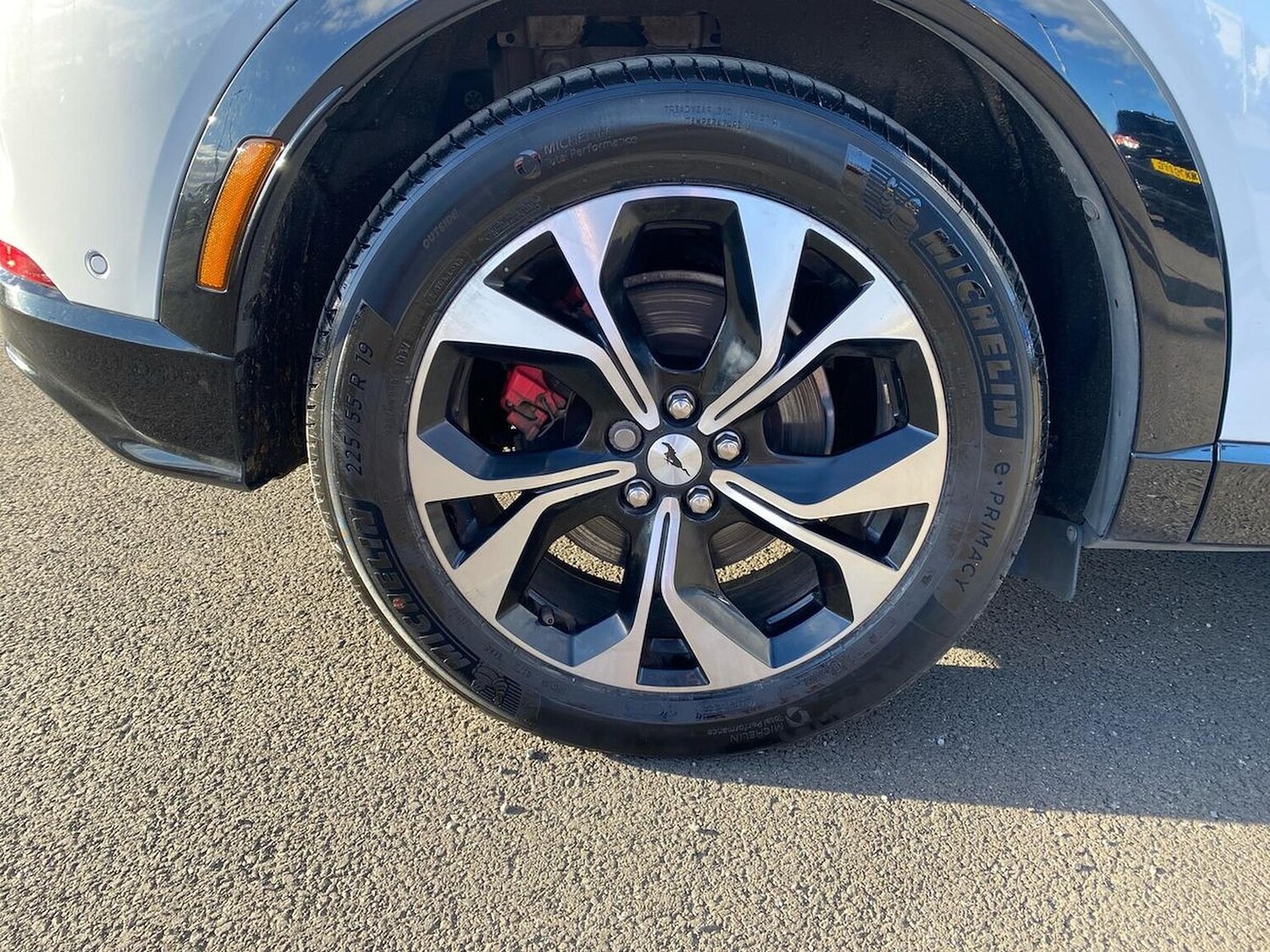 Used Ford Mustang Mach-E 2023 for sale - 77489145: Photo 6