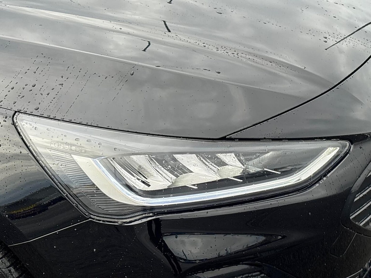 Used Ford Focus 2024 for sale - 76885025: Photo 34