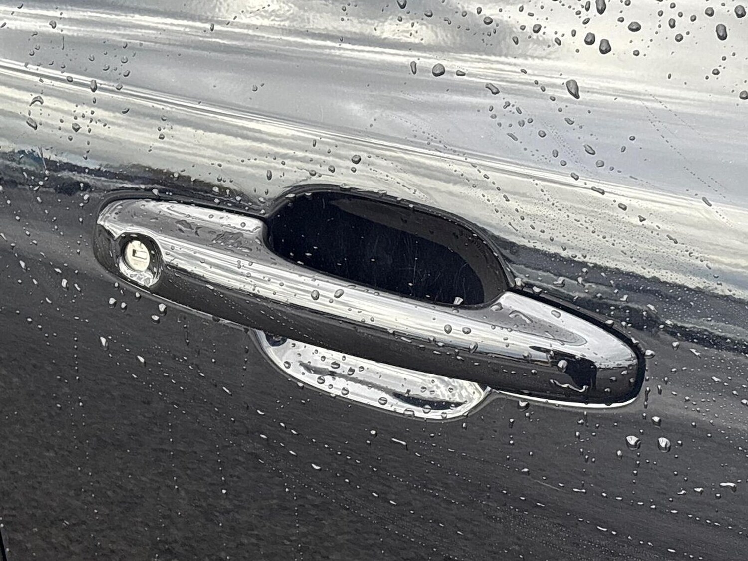 Used Ford Focus 2024 for sale - 76885025: Photo 37