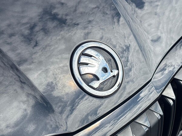 Used Skoda Octavia 2023 for sale - 75656094: Photo 32