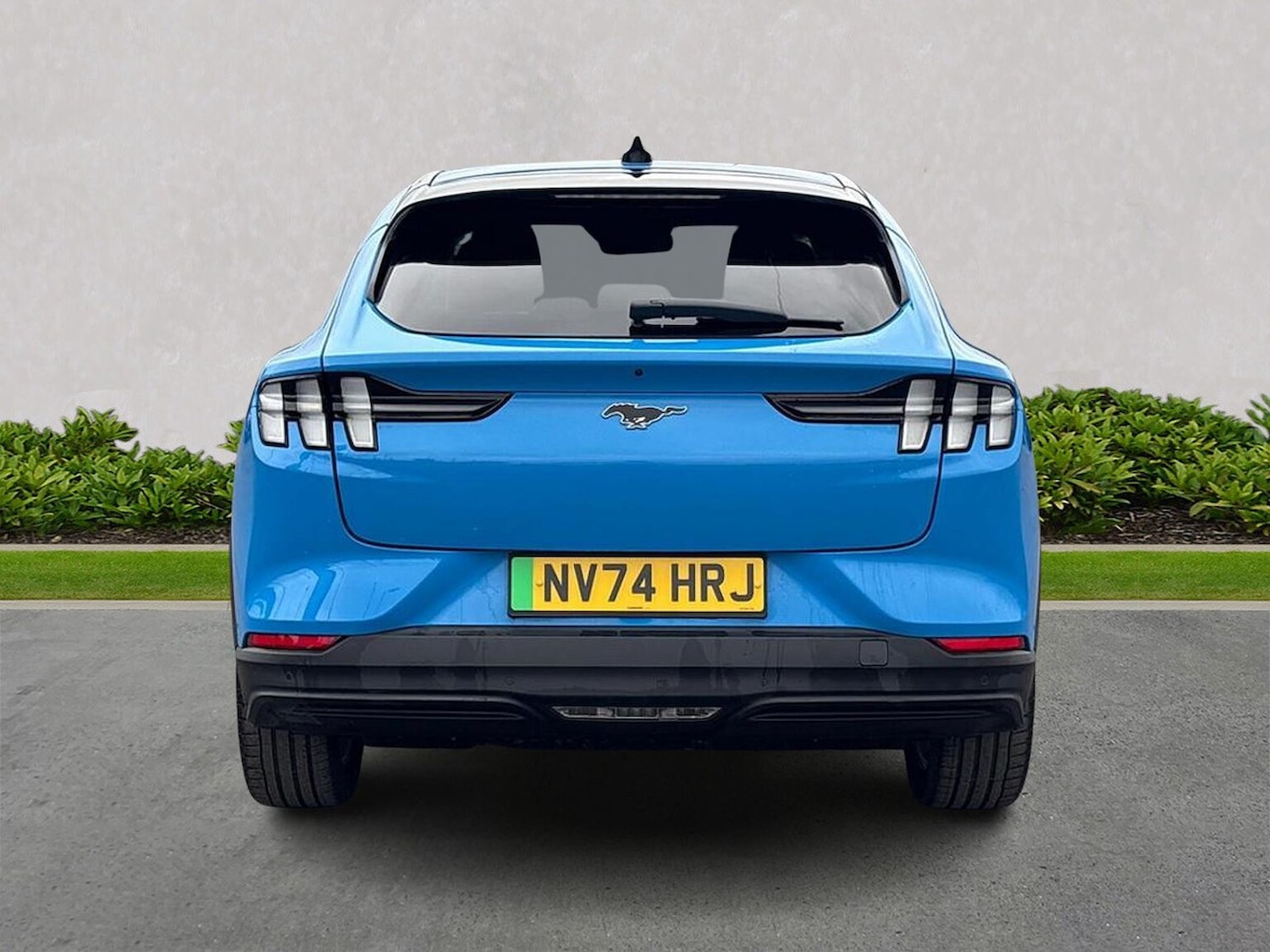 Used Ford Mustang Mach-E 2024 for sale - 77489112: Photo 4