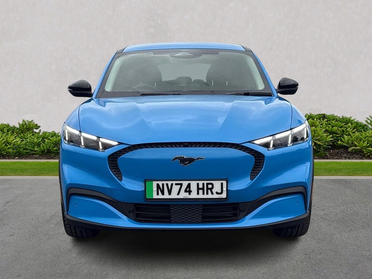 Used Ford Mustang Mach-E 2024 for sale - 77489112: Photo 5