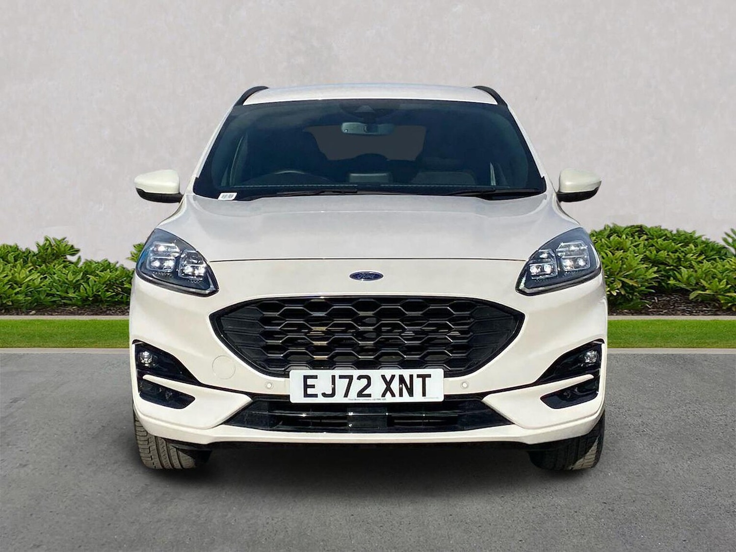 Used Ford Kuga 2022 for sale - 76300774: Photo 5