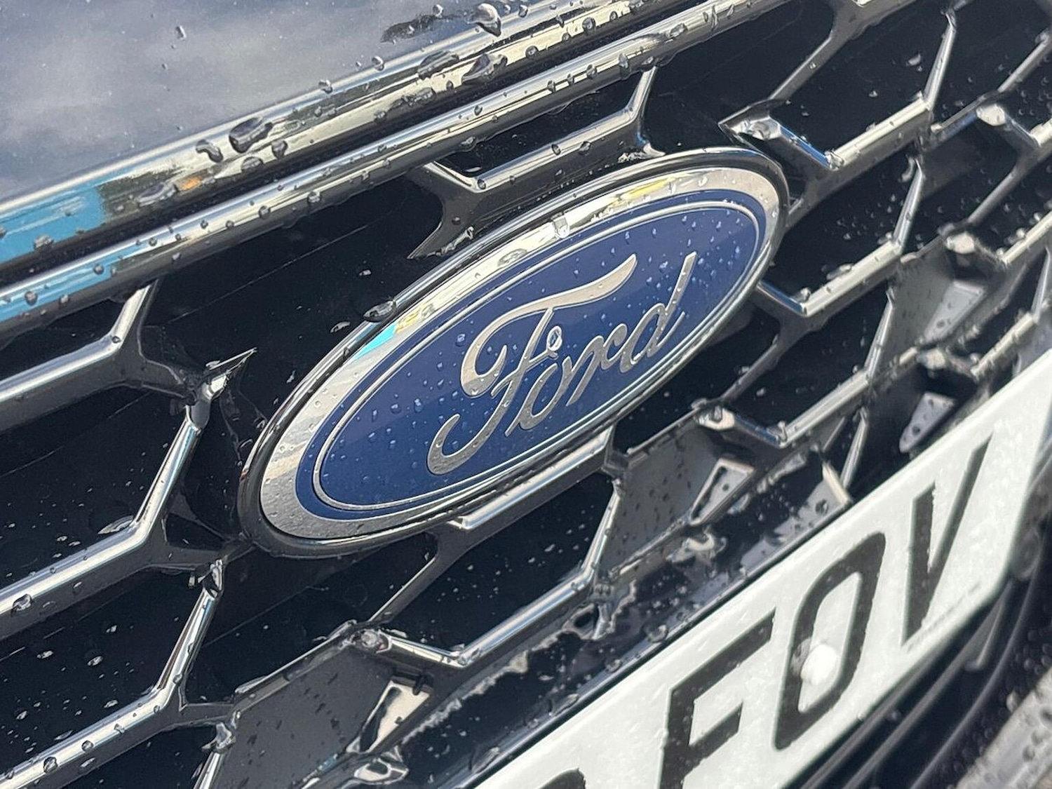 Vehicle 31